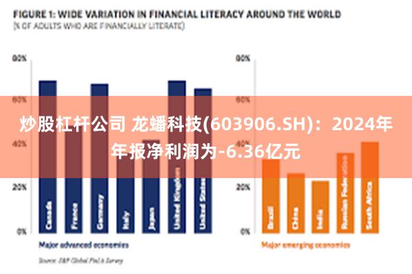 炒股杠杆公司 龙蟠科技(603906.SH)：2024年年报净利润为-6.36亿元