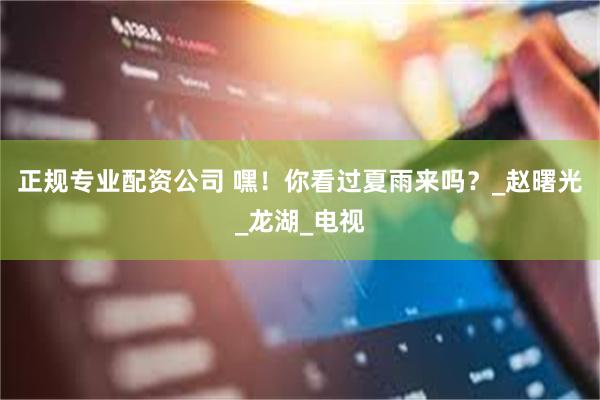正规专业配资公司 嘿！你看过夏雨来吗？_赵曙光_龙湖_电视