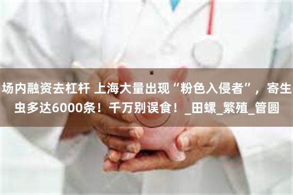 场内融资去杠杆 上海大量出现“粉色入侵者”，寄生虫多达6000条！千万别误食！_田螺_繁殖_管圆