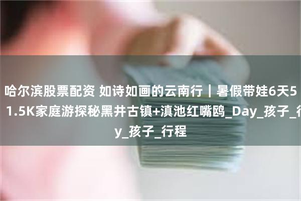哈尔滨股票配资 如诗如画的云南行｜暑假带娃6天5晚，1.5K家庭游探秘黑井古镇+滇池红嘴鸥_Day_孩子_行程
