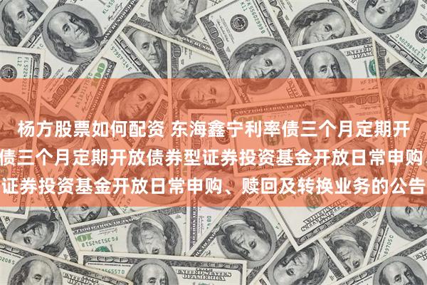 杨方股票如何配资 东海鑫宁利率债三个月定期开放债券: 东海鑫宁利率债三个月定期开放债券型证券投资基金开放日常申购、赎回及转换业务的公告