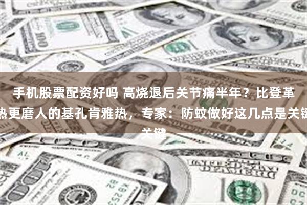 手机股票配资好吗 高烧退后关节痛半年？比登革热更磨人的基孔肯雅热，专家：防蚊做好这几点是关键