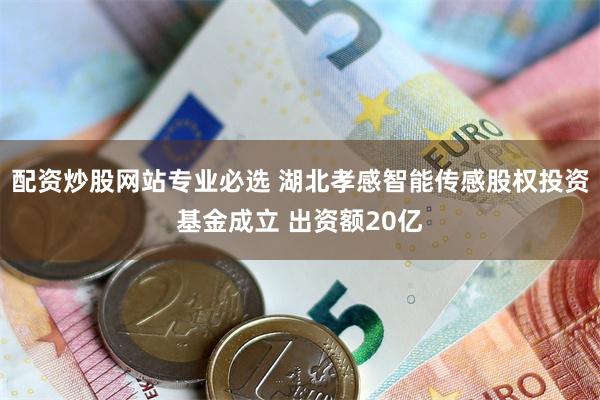 配资炒股网站专业必选 湖北孝感智能传感股权投资基金成立 出资额20亿