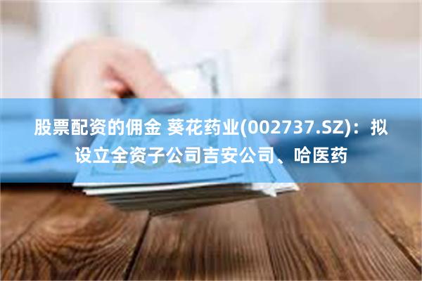 股票配资的佣金 葵花药业(002737.SZ)：拟设立全资子公司吉安公司、哈医药